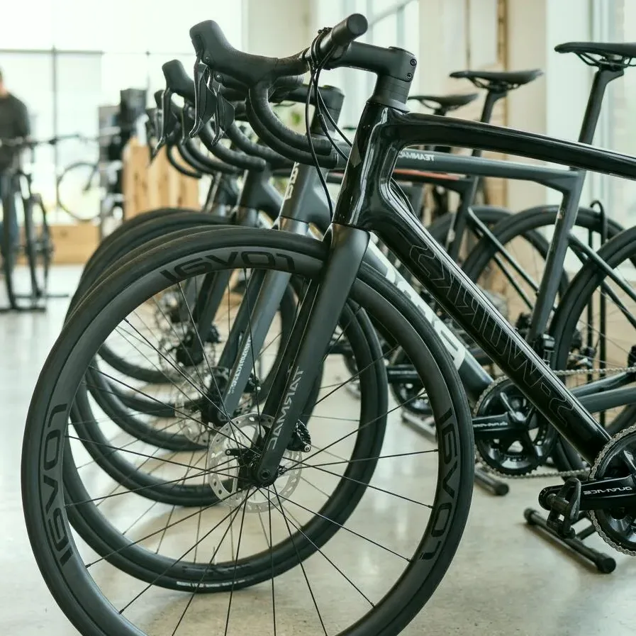 Clear Lane — E-Bike Service